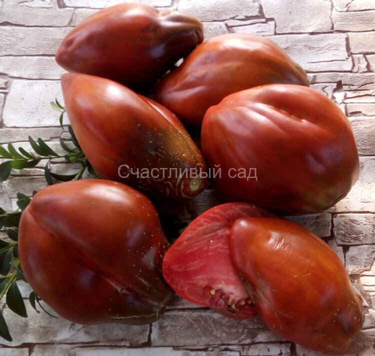Cuban Pepper Like Black (Кубинский перец черный) Cuban Pepper Like Black (Кубинский перец черный)