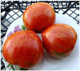 Striped heart (Полосатое сердце) Striped heart (Полосатое сердце)