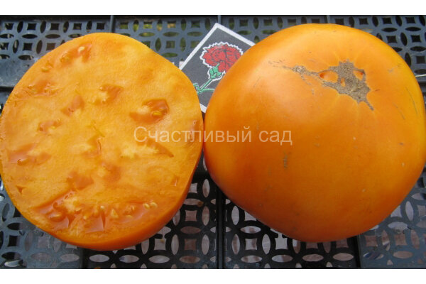 Медово-сахарный