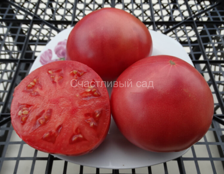 Sherry’s Sweet Heart (Сладкое Сердце Шерри)