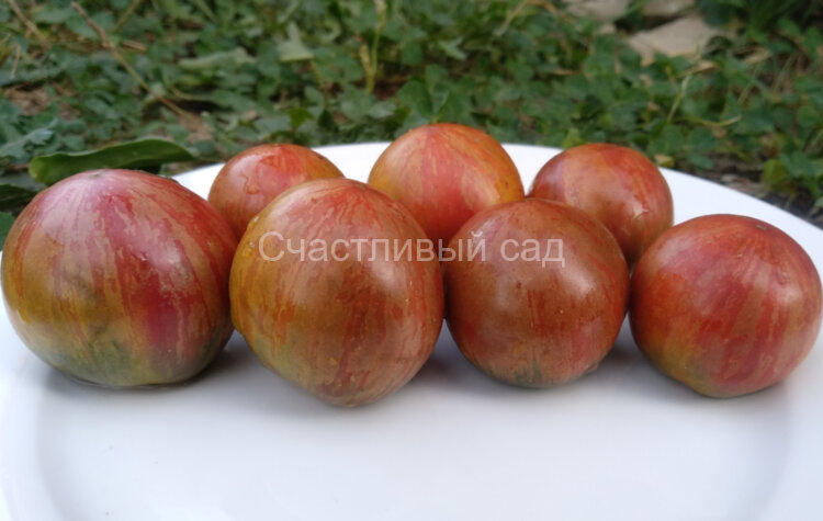 Orion's Belt (Пояс Ориона)