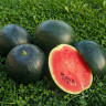 Арбуз Черногорец