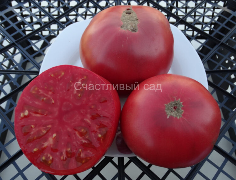 Taps (Сортовой, Марочный)