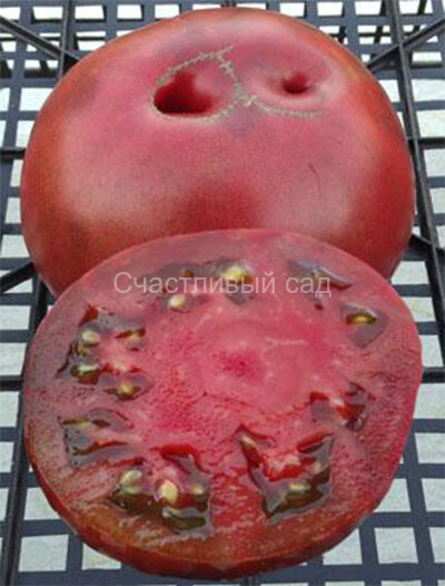 Radinilee (Радинили)