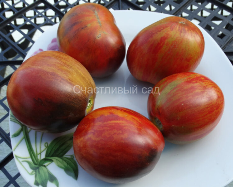 Wild Tiger (Дикий Тигр)