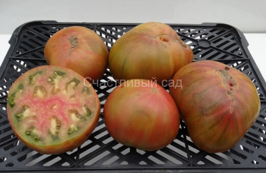 Copper River (Медная река)