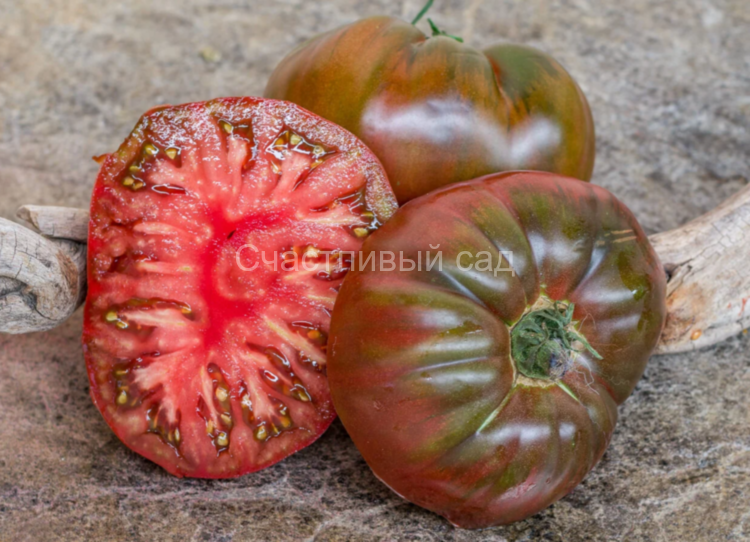 Black Giant (Черный гигант)