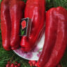 Перец Мамонтенок Перец Мамонтенок