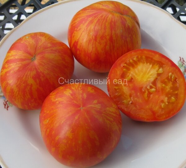 Королевская красота (Beauty Queen)