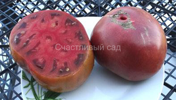 Noire Charbonneuse (Черный как уголь)