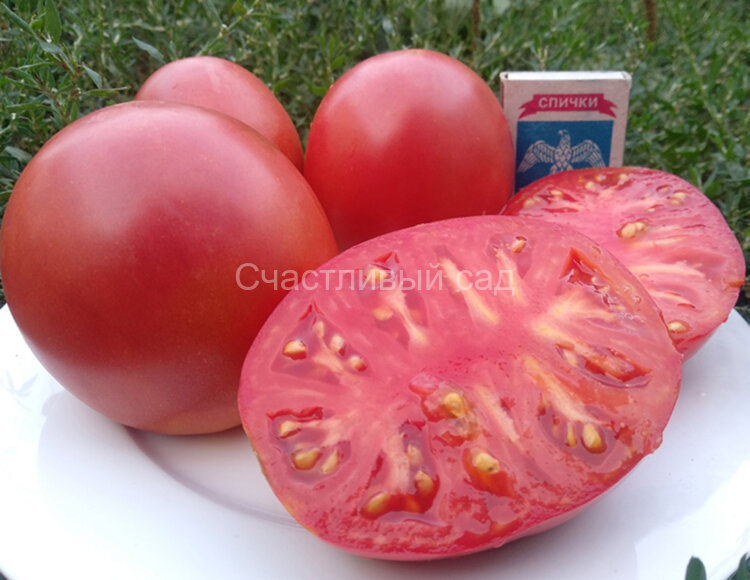 Малиновый рассвет