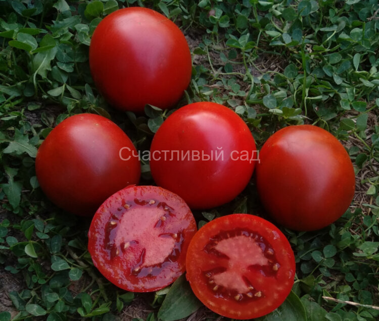 Slovenian black (Словенский черный)