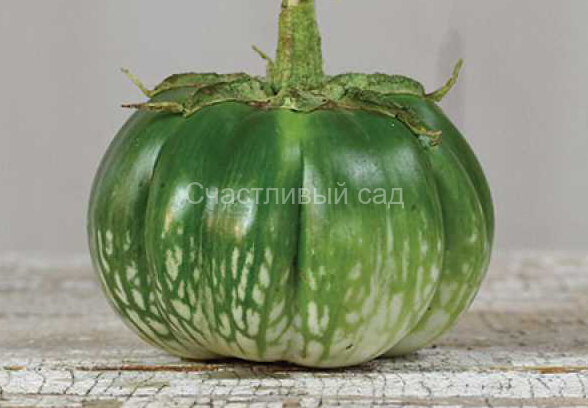 Баклажан Камбоджи Грин Джайн (Cambodian Green Giant)