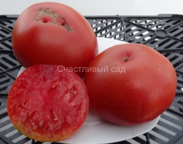 Шедевр Алтая