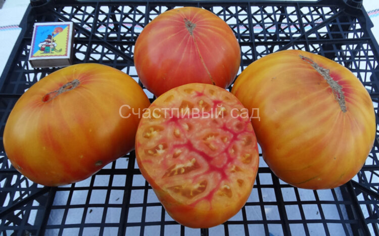 Peaches and Cream (Персики и крем) 