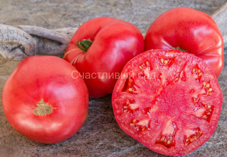 Mortgage Lifter - Radiator Charlie's (Поднятая ипотека)