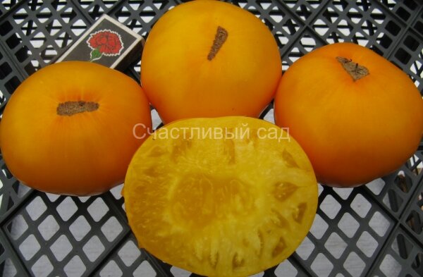 Утомленное солнце