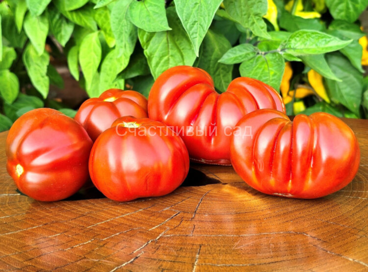 Fragole al Cioccolate (Шоколадная клубника) Fragole al Cioccolate (Шоколадная клубника)