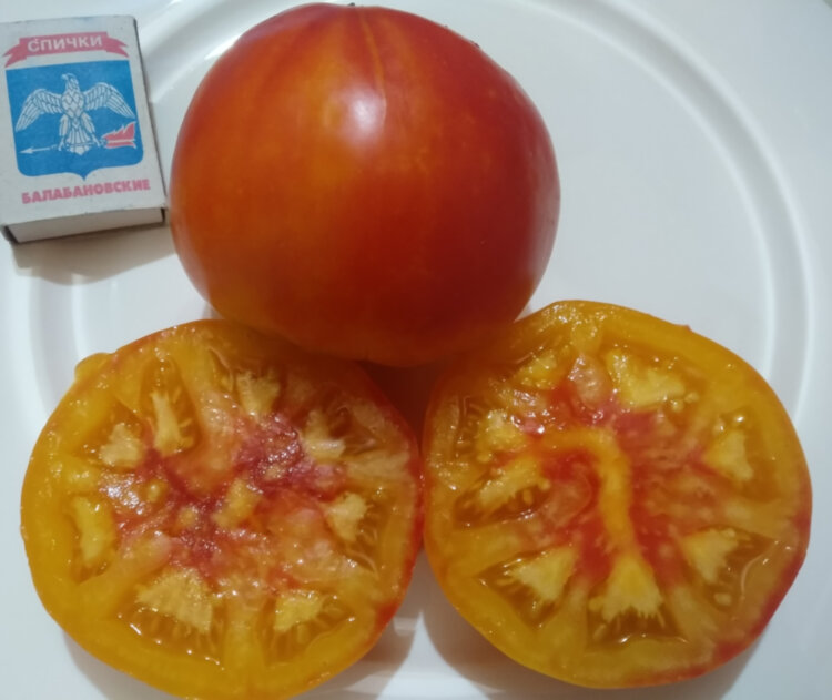 Carmella's Yellow Stripes (Желтый Полосатый Кармеллы)