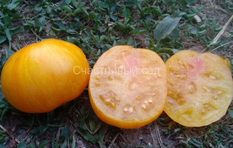 Pork Chop (Свиная Отбивная)