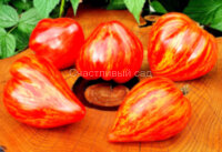 Stone brook heart dwarf (Гном сердце каменного ручья)