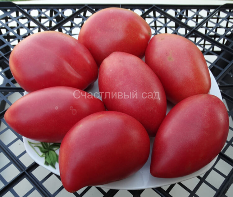 Sheboygan (Шебойган)