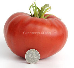 Daetwyler (Дэитвайлер) Daetwyler (Дэитвайлер)