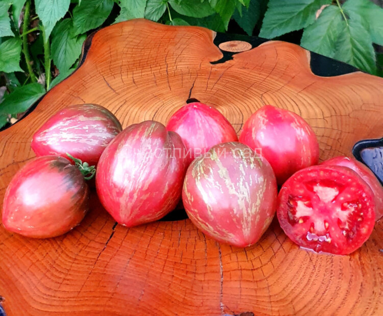 Dean’s wicked plum (Сливовый виски Дина)