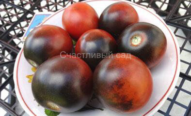 Blue Chocolate (Синий шоколад)