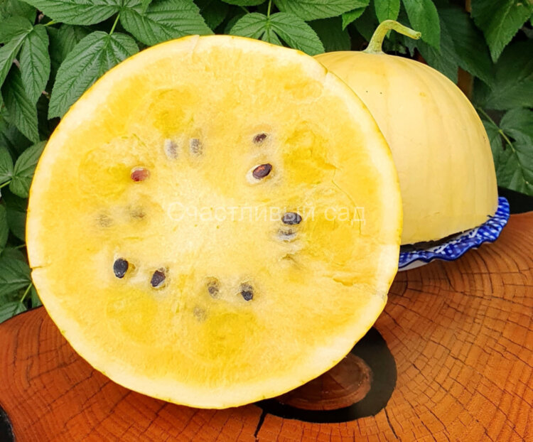 Арбуз Lemon Drop (Лимонная капля)