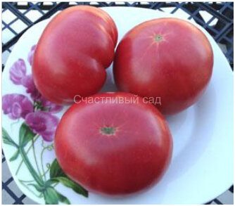 Willa’s Cariboo Rose (Роза Виллы Карибу)