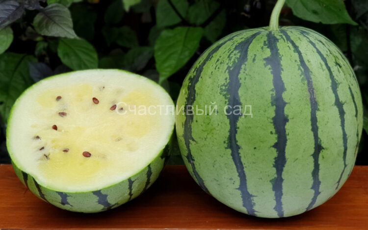 Арбуз Yamato Cream (Ямато Крем)