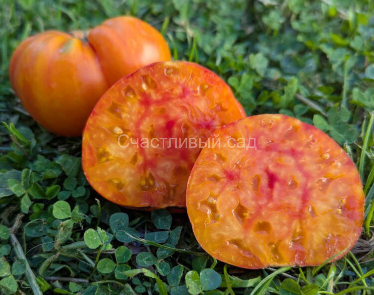 King Pineapple (Король Ананас)