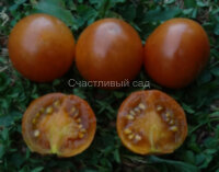 Dwarf Soul Patch (Гном Патч для души)