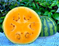 Арбуз Leelanau Sweetglo (Лиланау Свитгло)