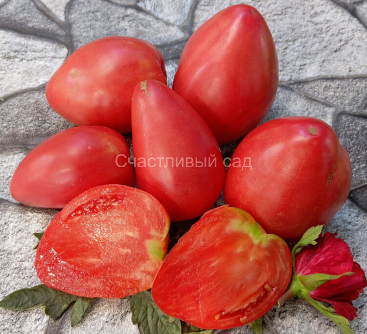 Орлиное сердце