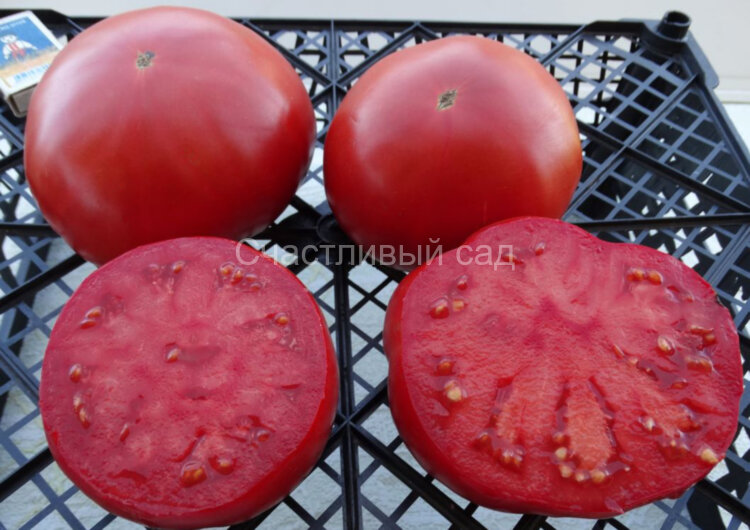 Magnum Beefsteak (Магнум бифстейк)