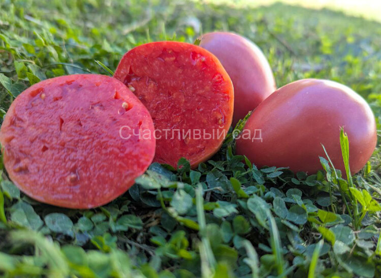 Подсиневские сердца минусинские