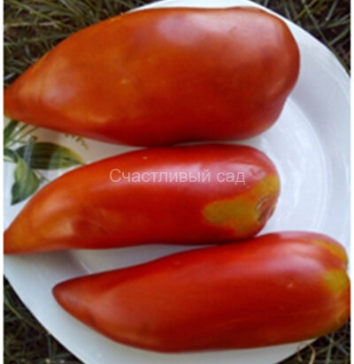 Federle (Федерле)