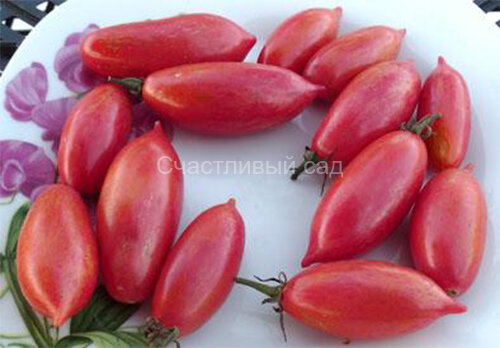 . Pink Tiger (Розовый Тигр) . Pink Tiger (Розовый Тигр)