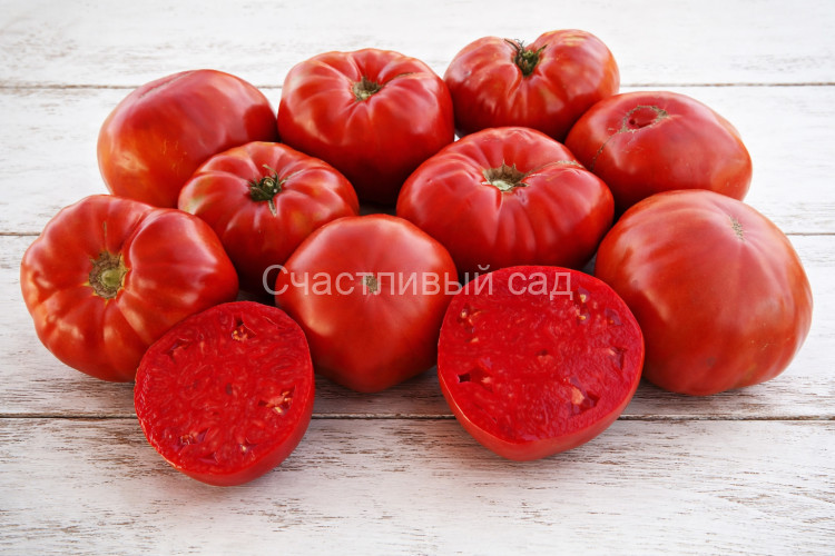 Замок Шартр