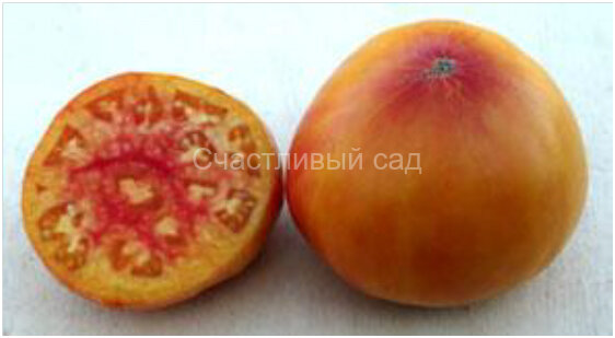 Manhattan Bicolor (Манхэттен биколор)