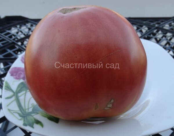 Бычье сердце Абаканское