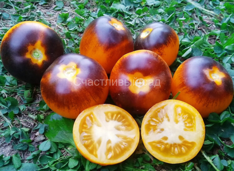 Шоколадный мармелад