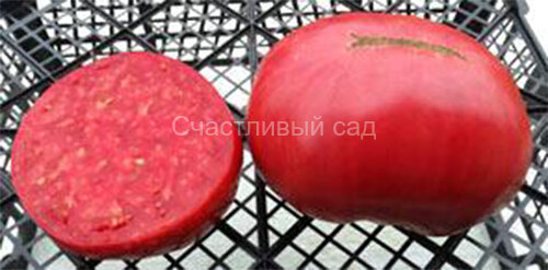 Зураба Кухинидзе (от Зураба Кунахидзе) Зураба Кухинидзе (от Зураба Кунахидзе)