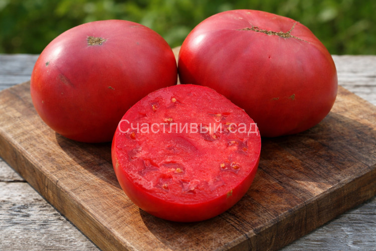 Mayo's Delight (Восторг Мэйо)