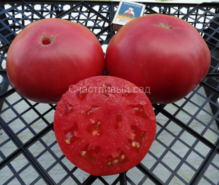 Watermelon Big (Арбуз Большой)