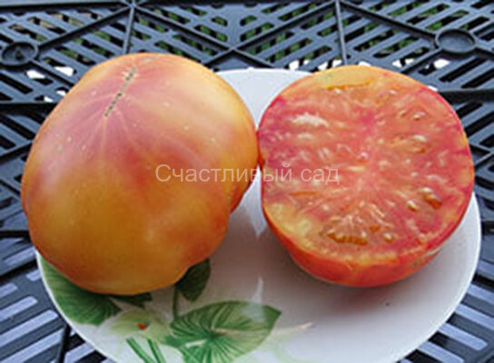 Old German (Старый немецкий)