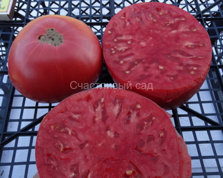 Ливанский Омара (Omar's Lebanese)