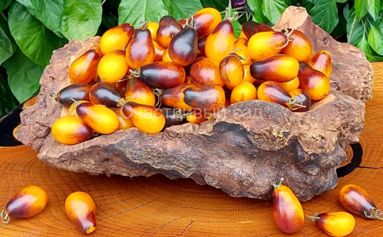 Indigo pear drops (Грушевидные капли индиго)